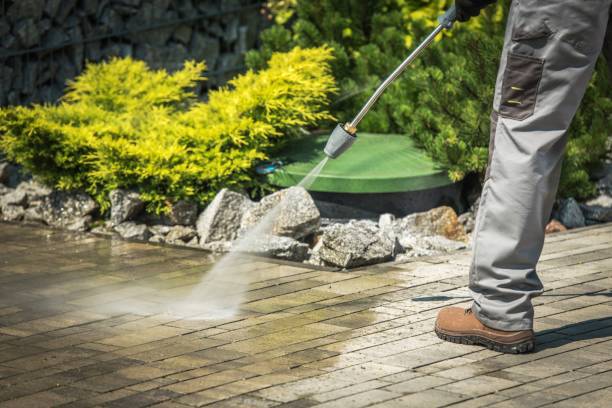 Best Soft Washing  in Sayreville, NJ